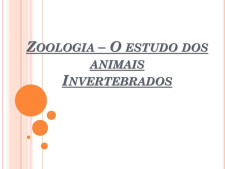 Zoologia – O estudo dos animais Invertebrados