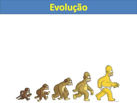 Evolução.