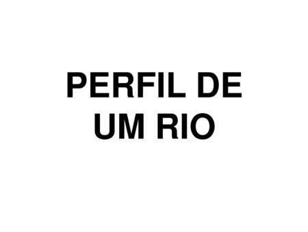 PERFIL DE UM RIO.