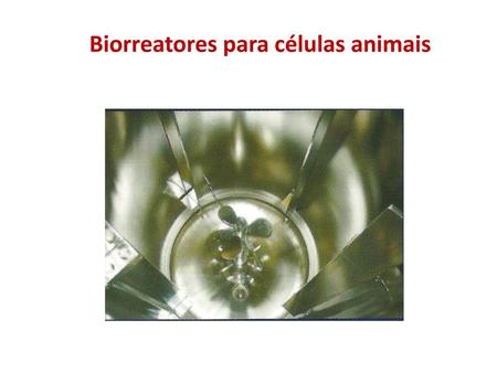 Biorreatores para células animais
