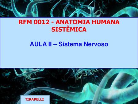 RFM ANATOMIA HUMANA SISTÊMICA AULA II – Sistema Nervoso