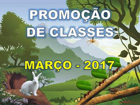 PROMOÇÃO DE CLASSES MARÇO - 2017.