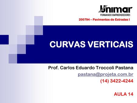 CURVAS VERTICAIS Prof. Carlos Eduardo Troccoli Pastana