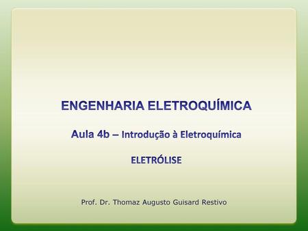 Prof. Dr. Thomaz Augusto Guisard Restivo