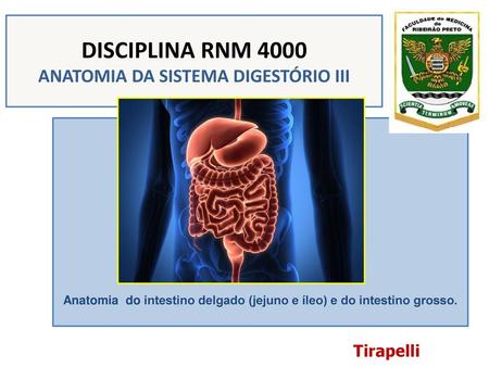 DISCIPLINA RNM 4000 ANATOMIA DA SISTEMA DIGESTÓRIO III