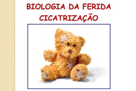 BIOLOGIA DA FERIDA CICATRIZAÇÃO.