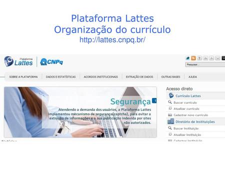 Plataforma Lattes Organização do currículo