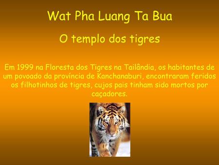 Wat Pha Luang Ta Bua O templo dos tigres