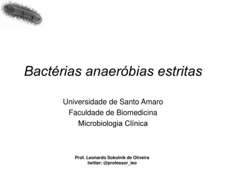 Bactérias anaeróbias estritas