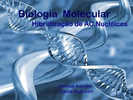 Biologia Molecular Hibridização de AC.Nucléicos Heloisa Arantes