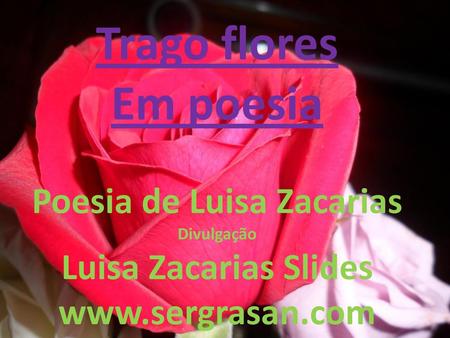 Poesia de Luisa Zacarias