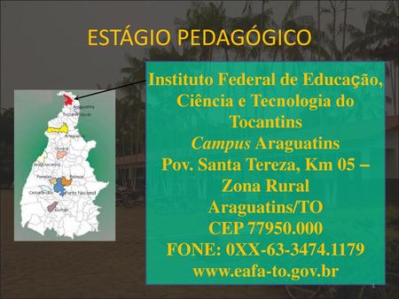 . ESTÁGIO PEDAGÓGICO Instituto Federal de Educação, Ciência e Tecnologia do Tocantins Campus Araguatins Pov. Santa Tereza, Km 05 – Zona Rural Araguatins/TO.