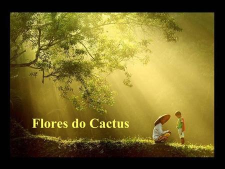 Flores do Cactus.