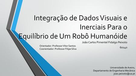 João Carlos Pimentel Fidalgo Peixoto 60140