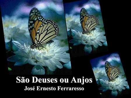 São Deuses ou Anjos José Ernesto Ferraresso