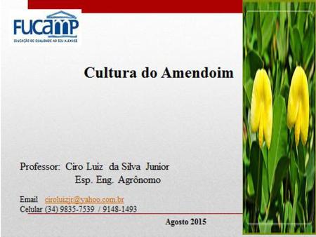 Grandes Culturas III - Prof. Ciro Luiz