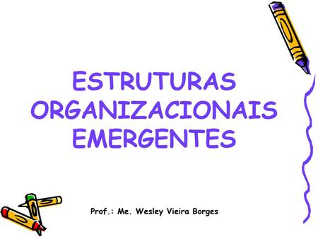 ESTRUTURAS ORGANIZACIONAIS EMERGENTES