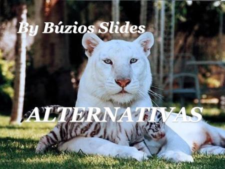 By Búzios Slides ALTERNATIVAS.