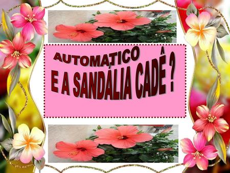 AUTOMATICO E A SANDÁLIA CADÊ ?.