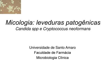 Micologia: leveduras patogênicas Candida spp e Cryptococcus neoformans
