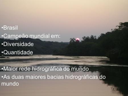 Hidrografia brasileira