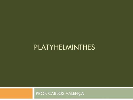 PLATYHELMINTHES PROF. CARLOS VALENÇA.