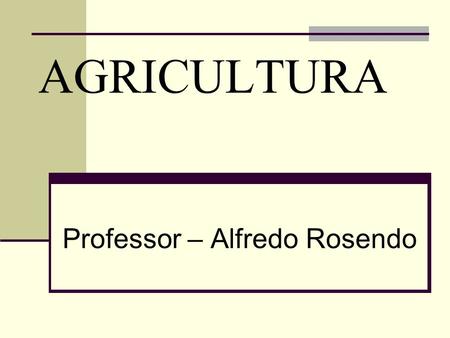 Professor – Alfredo Rosendo