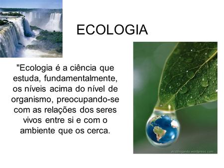 ECOLOGIA Ecologia é a ciência que estuda, fundamentalmente, os níveis acima do nível de organismo, preocupando-se com as relações dos seres vivos entre.