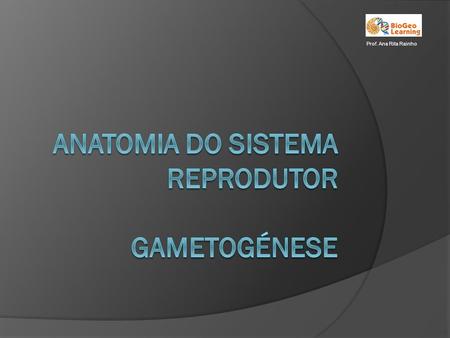 Anatomia do Sistema Reprodutor Gametogénese