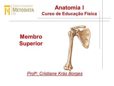 Anatomia I Curso de Educação Física