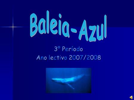 Baleia-Azul 3º Período Ano lectivo 2007/2008.