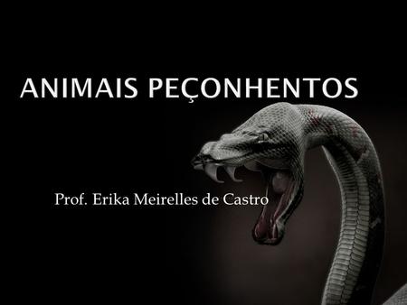 Prof. Erika Meirelles de Castro