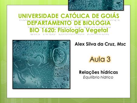 UNIVERSIDADE CATÓLICA DE GOIÁS DEPARTAMENTO DE BIOLOGIA BIO 1620: Fisiologia Vegetal Alex Silva da Cruz, Msc Aula 3 Relações hídricas Equilíbrio hídrico.
