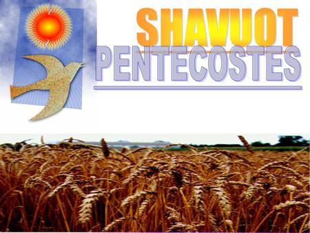SHAVUOT PENTECOSTES.