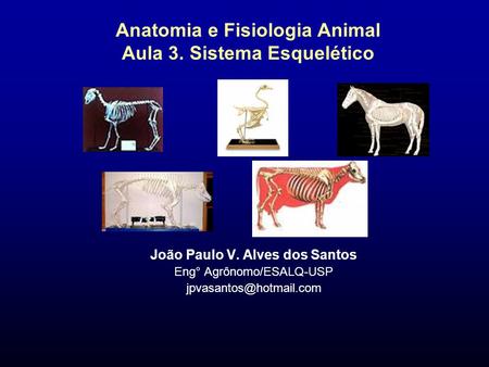 Anatomia e Fisiologia Animal Aula 3. Sistema Esquelético