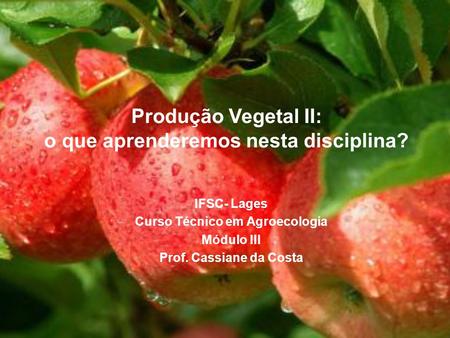 Produção Vegetal II: o que aprenderemos nesta disciplina?