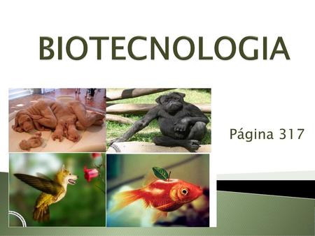 BIOTECNOLOGIA Página 317.