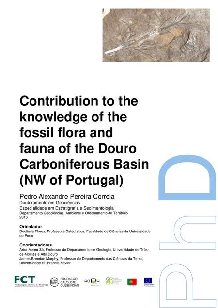 Contribution to the knowledge of the fossil flora and fauna of the Douro Carboniferous Basin (NW of Portugal) Pedro Alexandre Pereira Correia Doutoramento.