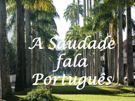 A Saudade fala Português