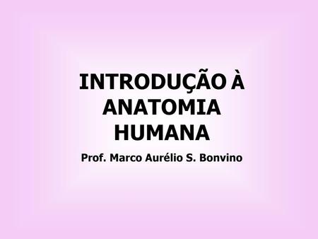 INTRODUÇÃO À ANATOMIA HUMANA Prof. Marco Aurélio S. Bonvino