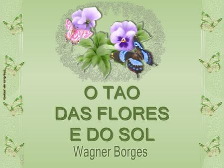 O TAO DAS FLORES E DO SOL Wagner Borges.