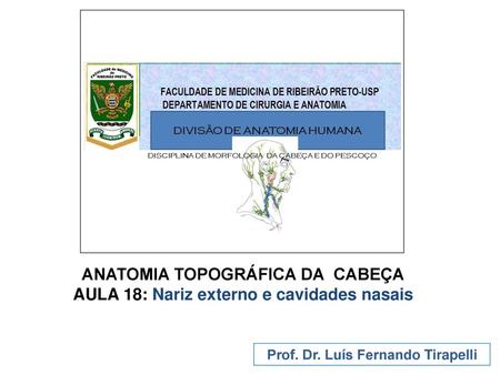 ANATOMIA TOPOGRÁFICA DA CABEÇA Prof. Dr. Luís Fernando Tirapelli