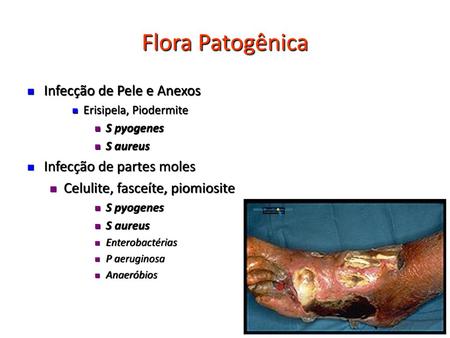 Flora Patogênica Infecção de Pele e Anexos Infecção de partes moles
