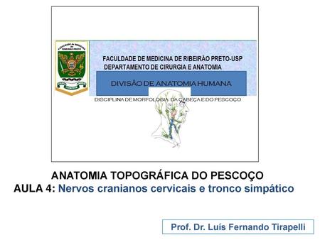 ANATOMIA TOPOGRÁFICA DO PESCOÇO Prof. Dr. Luís Fernando Tirapelli