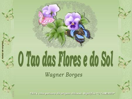 O Tao das Flores e do Sol Wagner Borges