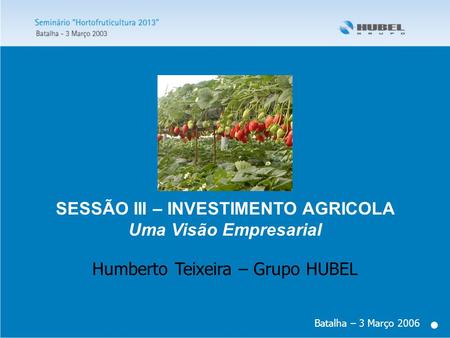 SESSÃO III – INVESTIMENTO AGRICOLA Uma Visão Empresarial Batalha – 3 Março 2006 Humberto Teixeira – Grupo HUBEL.