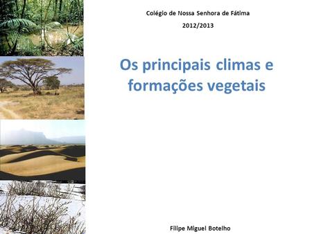 Os principais climas e formações vegetais