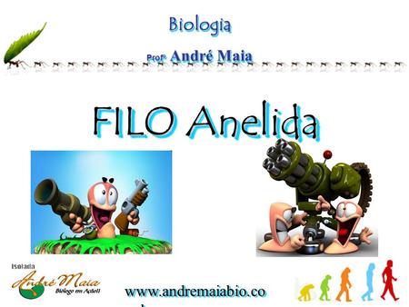 Biologia Profº André Maia FILO Anelida.