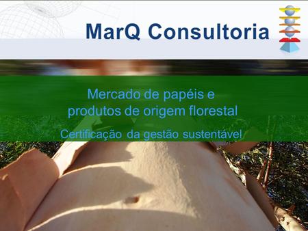 Mercado de papéis e produtos de origem florestal Certificação da gestão sustentável.