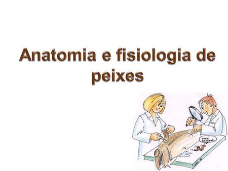 Anatomia e fisiologia de peixes